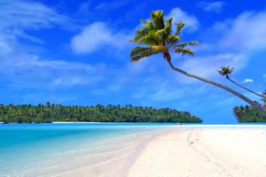 Autopůjčovna Hawaii