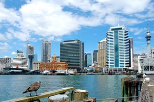 Autopůjčovna Auckland
