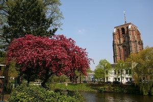 Autopůjčovna Leeuwarden