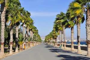 Autopůjčovna Limassol